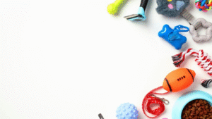 10 Must-Have Gadgets for Modern Pet Owners