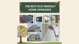 The Best Eco-Friendly Home Upgrades