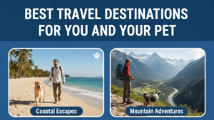 Best Travel Destinations for You and Your Pet
