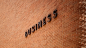 How to Build a Business with No Prior Experience