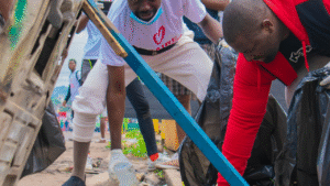 Citizen Science: Everyday People Advancing Research