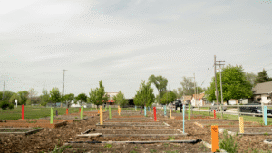 Community Gardens: Building Neighborhood Bonds