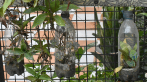 Creative DIY Plant Holders From Recycled Items