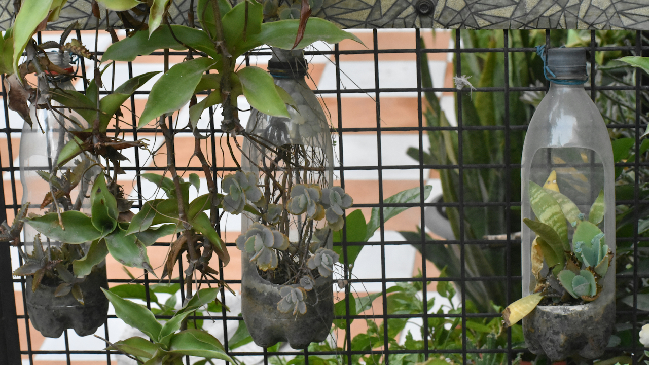 Creative DIY Plant Holders From Recycled Items