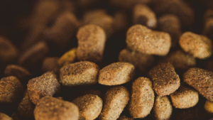 DIY Pet Food: Safe or Risky?