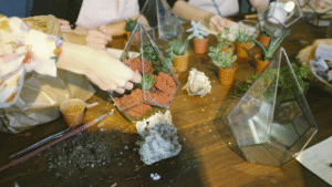 DIY Terrariums Using Recycled Glass