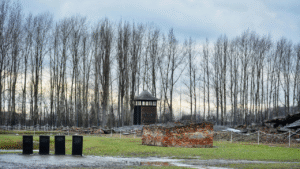 Dark Tourism: Visiting Sites of Tragedy