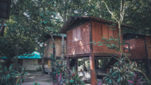 Eco-Resorts: Sustainable Stays Around the Globe