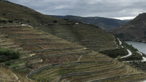 Exploring Wine Regions by Climate