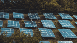 Green Energy Politics: Subsidies vs. Innovation