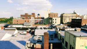 How Cities Are Adapting to Rising Sea Levels