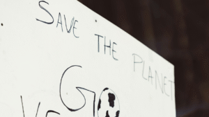 How Plant-Based Diets Help the Environment