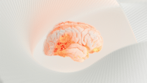 How the Brain Forms and Erases Memories