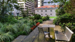 How to Build an Urban Garden in a Small Space