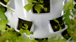 How to Build a Vertical Herb Garden