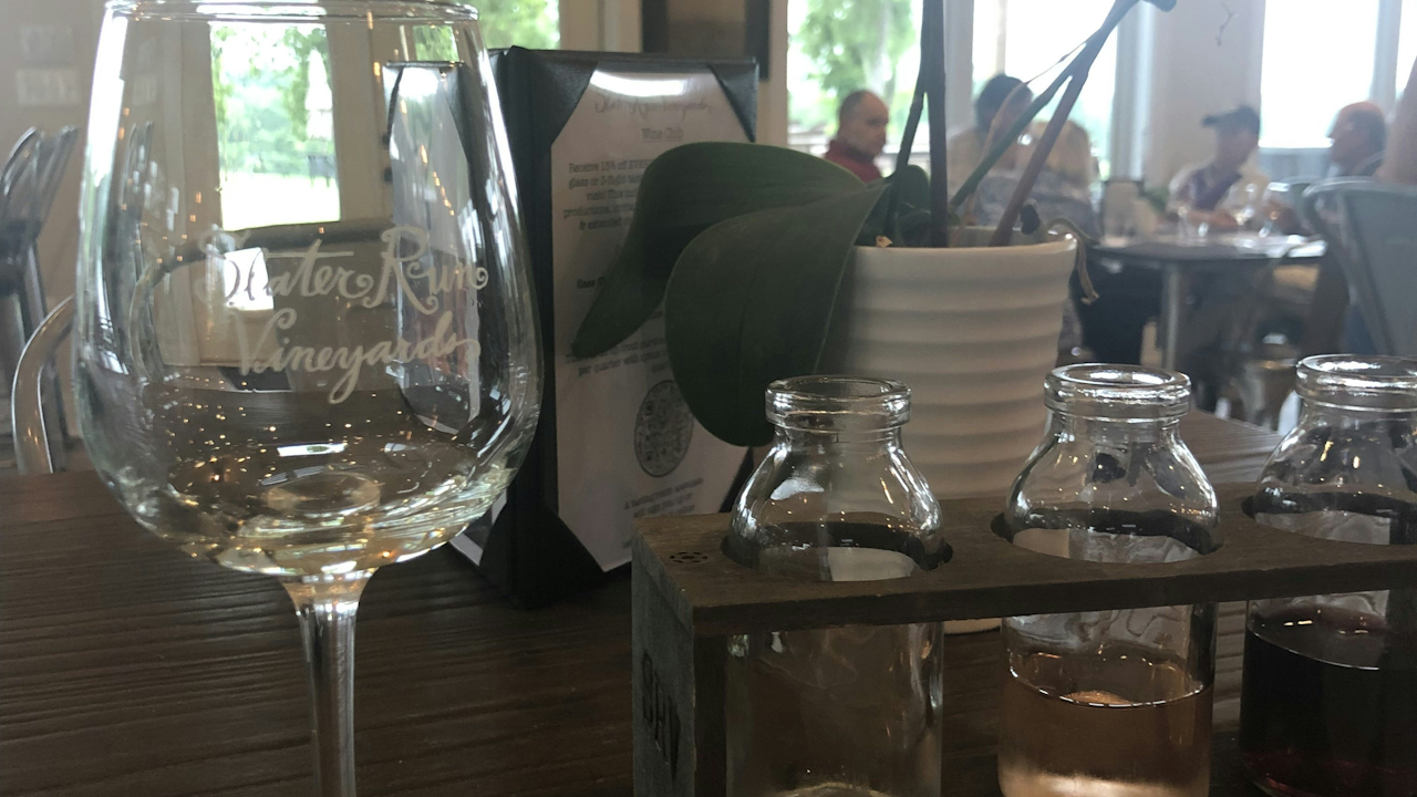 A table set with wine glasses and a small plant, featuring clear glassware and an indoor setting.