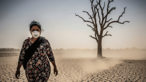 The Impact of Climate Change on Daily Existence