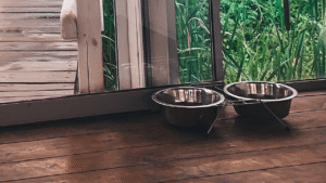 How to Make Your Home More Pet-Friendly