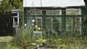 Mini Greenhouses: DIY Solutions for Urban Gardeners