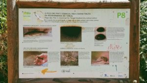 The Necessity of Biodiversity Conservation