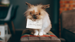 The Psychological Factors Contributing to Procrastination