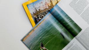 Recommended Hobbies to Explore This Year