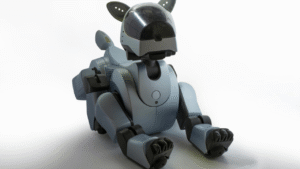 Robot Pets vs. Real Ones: What’s the Difference?