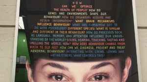 The Science of Motivation: How to Stay Driven