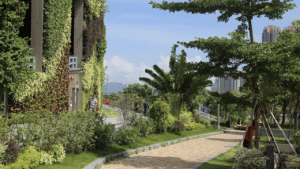 Strategies for Greening Urban Areas