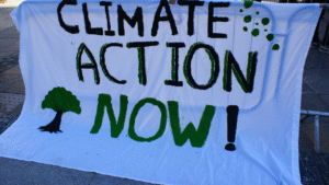 The Truth About Carbon Offsetting: Does It Really Work?