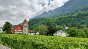 The Wine Lover’s Bucket List: 10 Wineries to Visit Before You Die